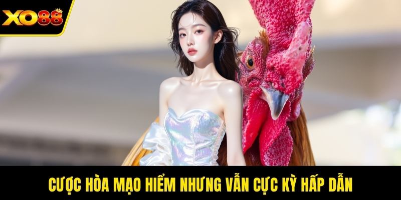 Cược hòa mạo hiểm nhưng vẫn cực kỳ hấp dẫn