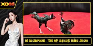 đá gà campuchia