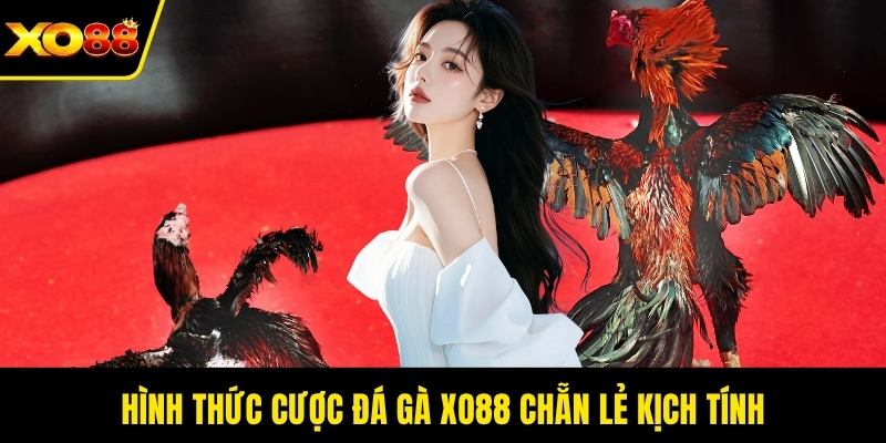 Hình thức cược đá gà XO88 chẵn lẻ kịch tính