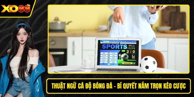 thuật ngữ cá độ bóng đá