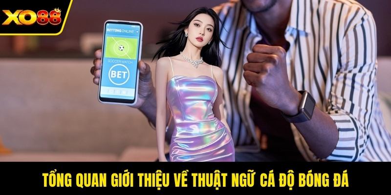 Tổng quan giới thiệu về thuật ngữ cá độ bóng đá