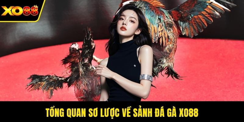 Tổng quan sơ lược về sảnh đá gà XO88