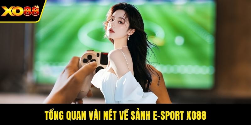 Tổng quan vài nét về sảnh E-Sport XO88