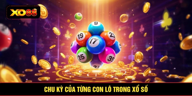 Chu kỳ của từng con lô trong xổ số