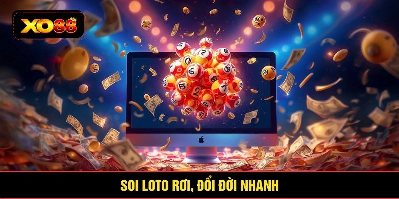 Soi loto rơi, đổi đời nhanh